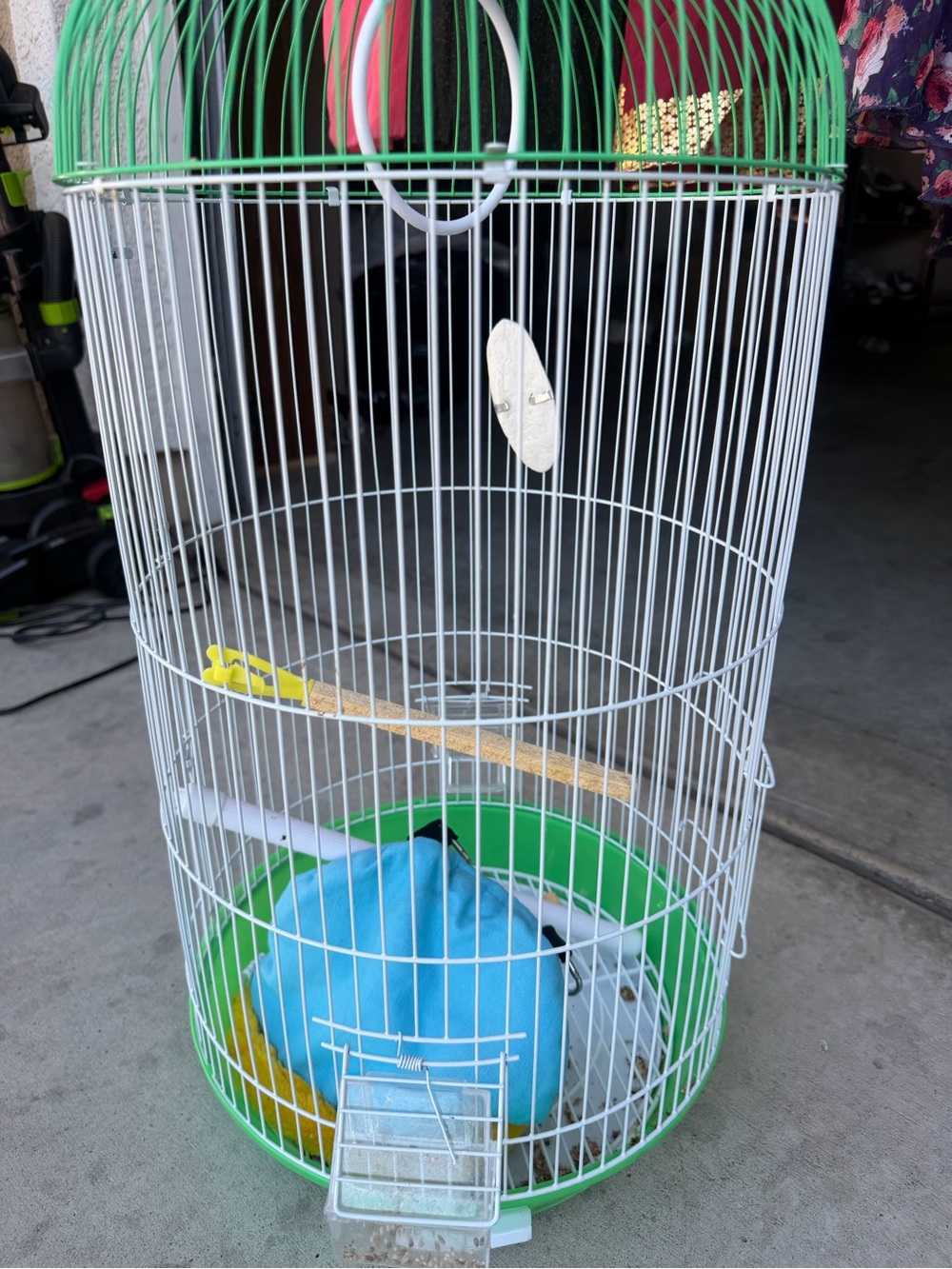 Green & White Round Bird Cage with Blue Nesting Pouch